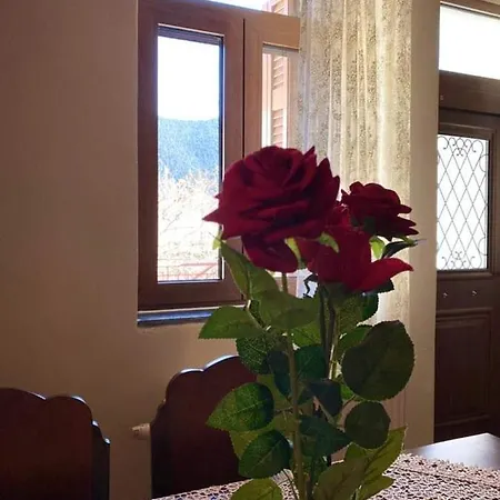 Tzelati Vytinas Apartman