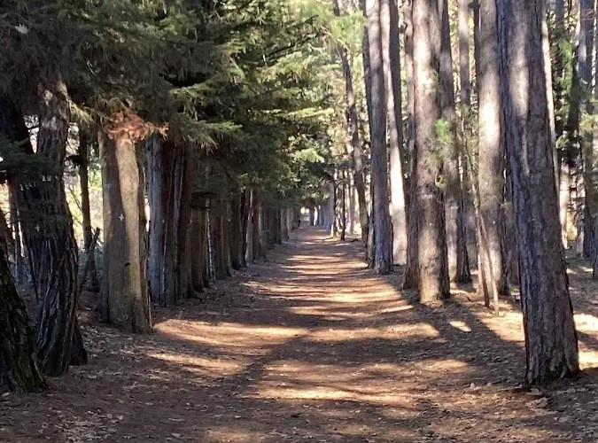 Tzelati Vytinas Apartamento